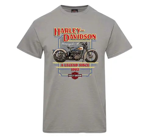HARLEY DAVIDSON® MENS CLASSIC TEE