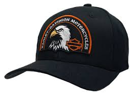 STOIC EAGLE SNAPBACK CLOSURE CAP