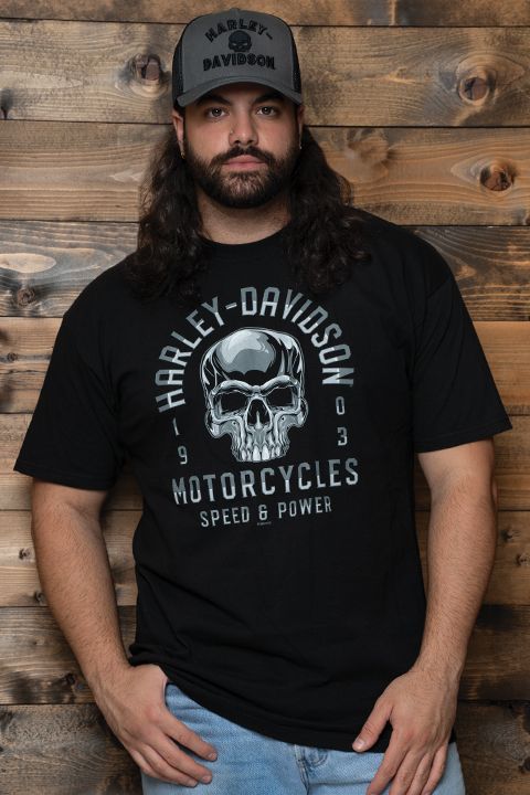HARLEY-DAVIDSON® MENS CHROME LIFE S/S TEE