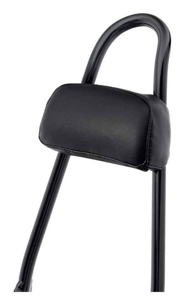 One-Piece Tall Rigid Mount Sissy Bar and Pad