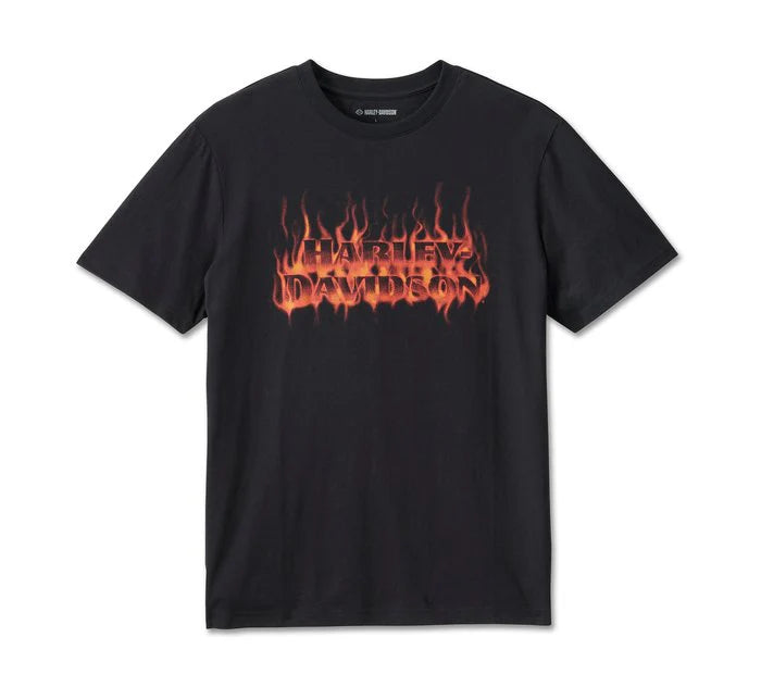 HARLEY DAVIDSON® MENS RHODONITE TEE