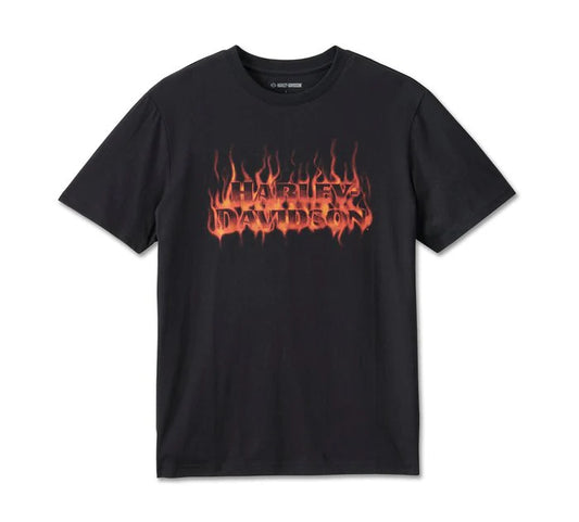 HARLEY DAVIDSON® MENS RHODONITE TEE