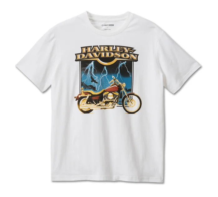 HARLEY-DAVIDSON® MENS OLD FASHIONED TEE