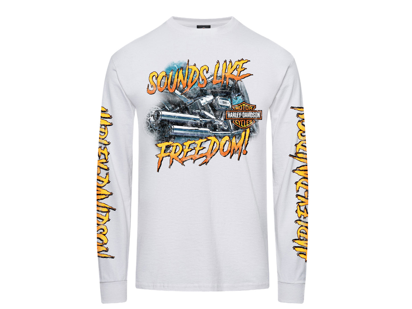 HARLEY-DAVIDSON® MENS STATEMENT LONG SLEEVE TEE
