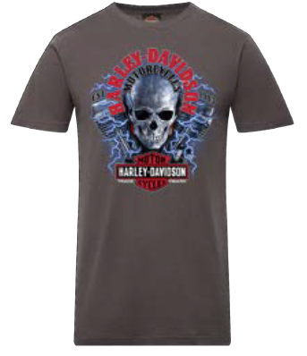 HARLEY-DAVIDSON® MENS ELECTRIC TEE
