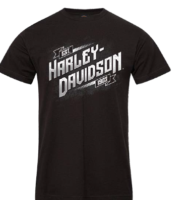 HARLEY-DAVIDSON® MENS SCREECH TEE