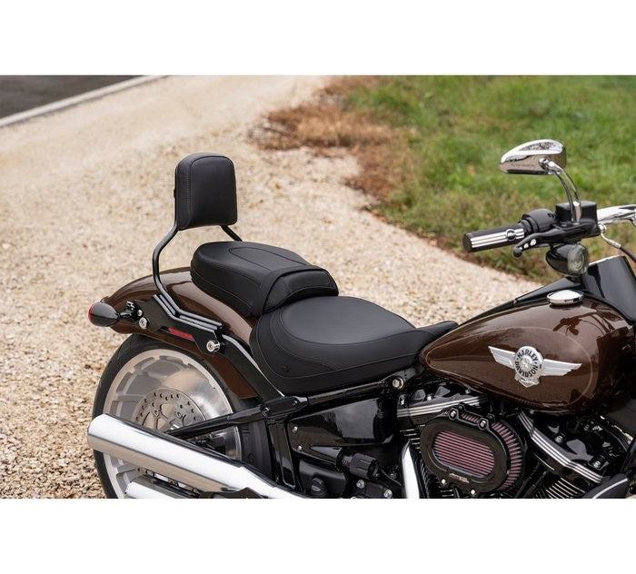 HOLD FAST SISSY BAR UPRIGHT - STANDARD HEIGHT