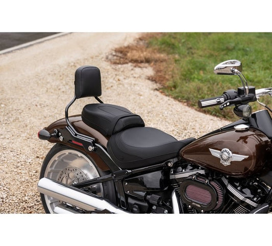 HOLD FAST SISSY BAR UPRIGHT - STANDARD HEIGHT