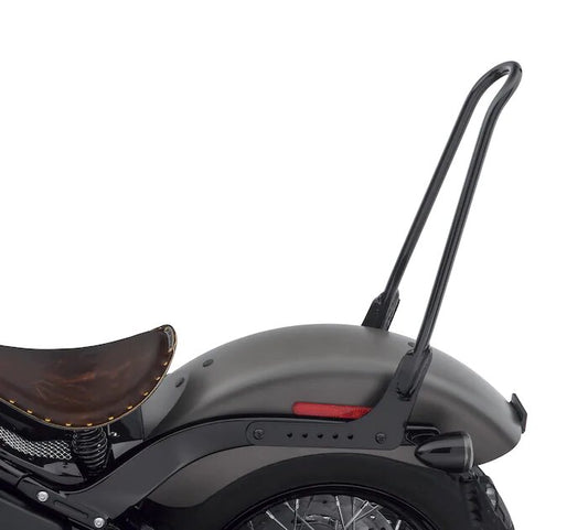 One-Piece Tall Rigid Mount Sissy Bar and Pad