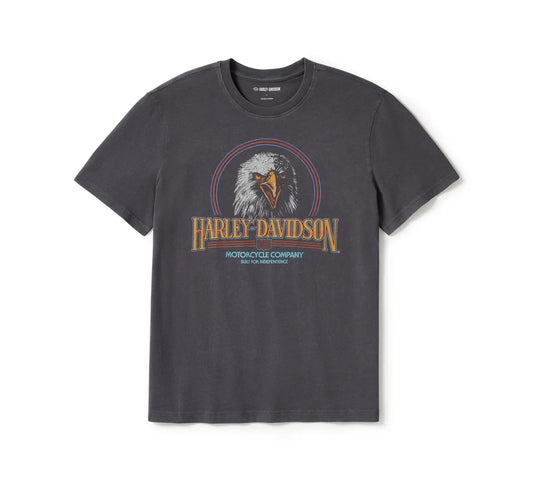 HARLEY-DAVIDSON® MENS SOARING RIDE GRAPHIC TEE
