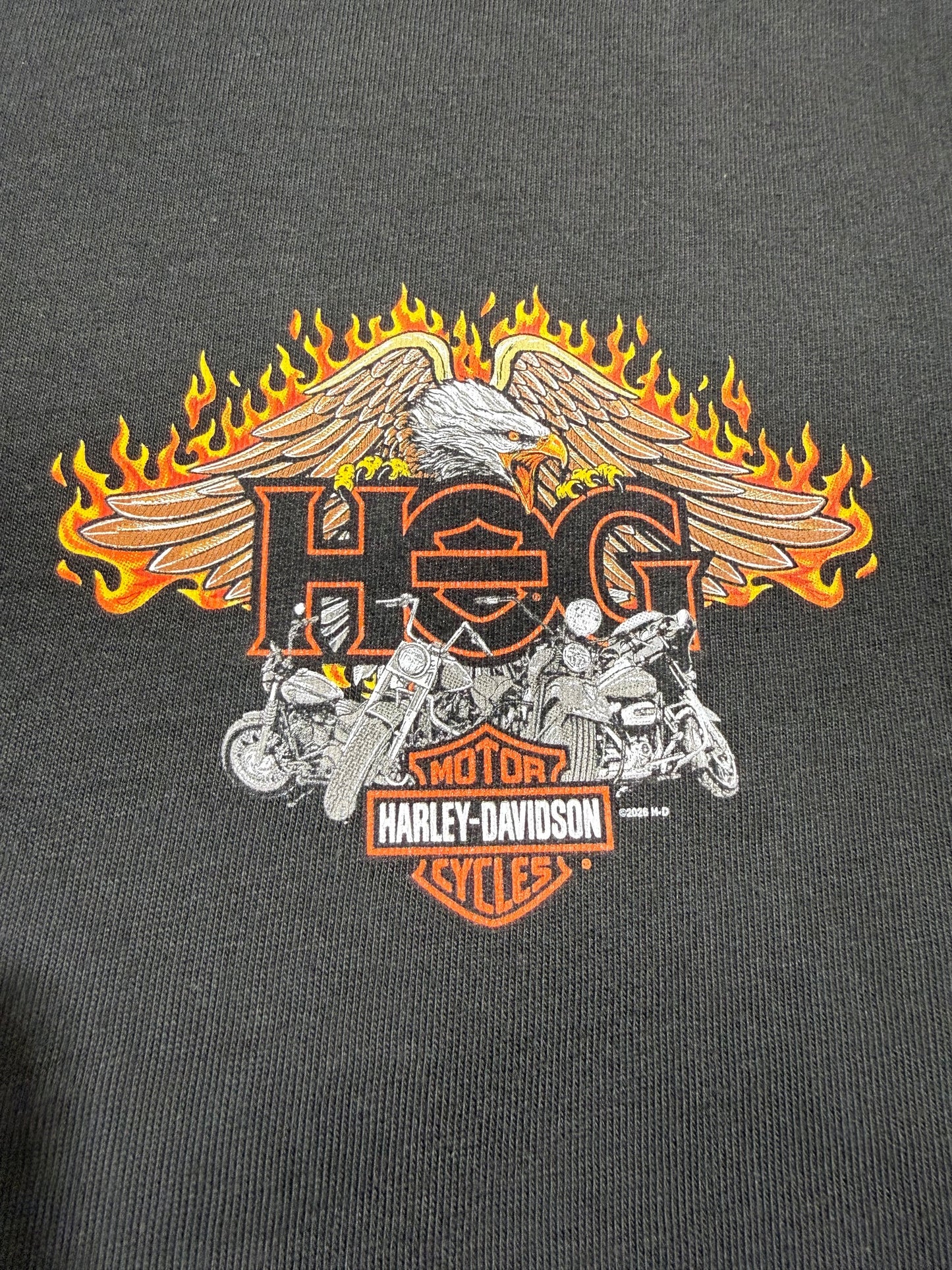 HARLEY-DAVIDSON®  HOG FULL THROTTLE TEE