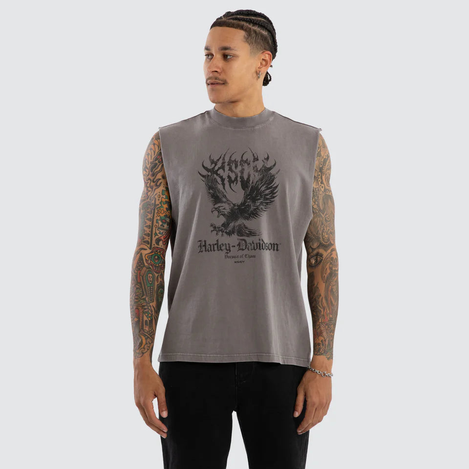 HARLEY-DAVIDSON®  HIGHWAY STREET  KSCY MUSCLE