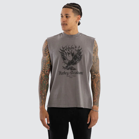 HARLEY-DAVIDSON®  HIGHWAY STREET  KSCY MUSCLE