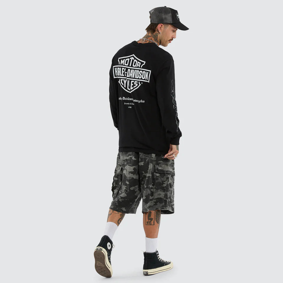 HARLEY-DAVIDSON®  FLAMES KSCY L/S TEE