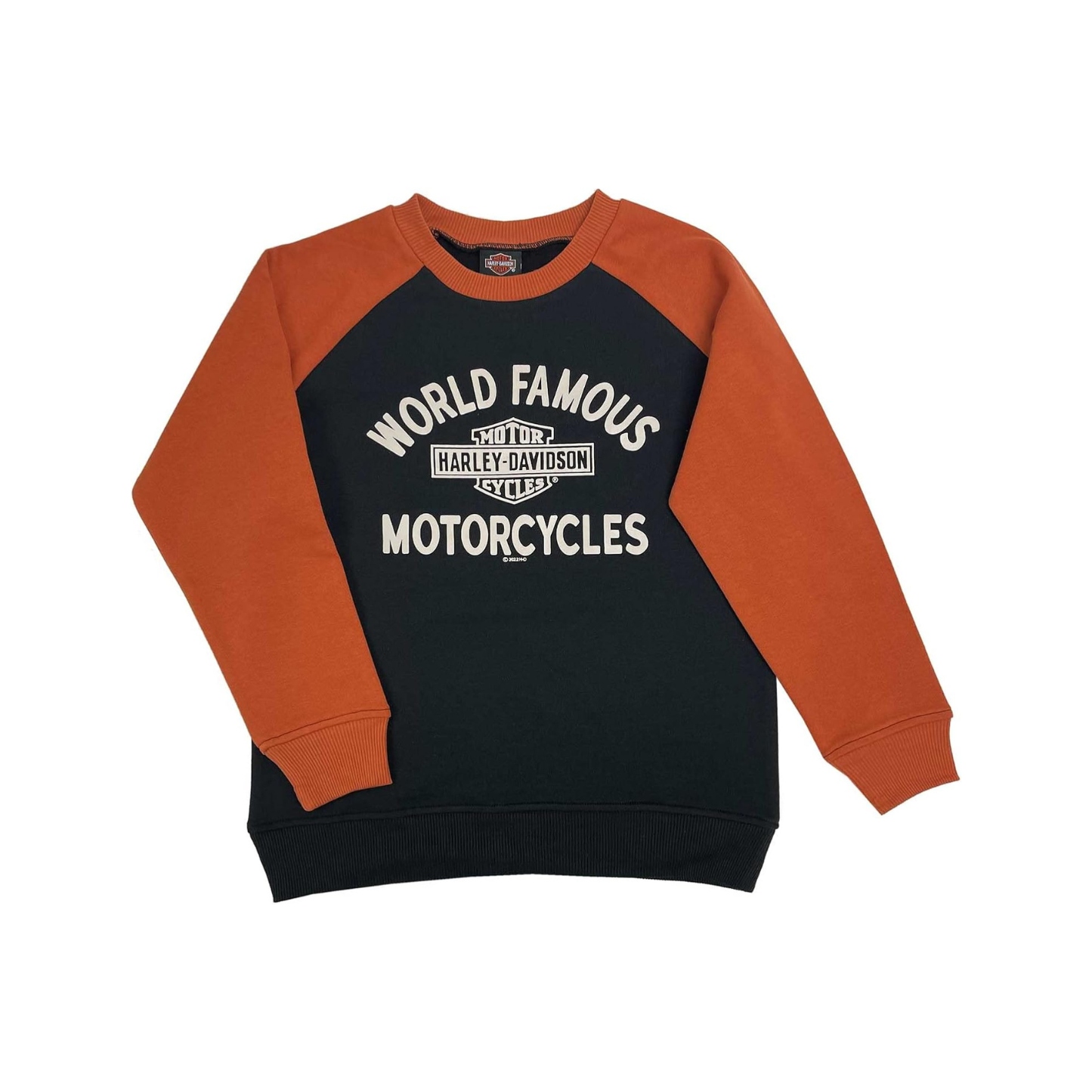 HARLEY-DAVIDSON® TOD BOY FLC CREW PULLOVER
