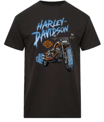 HARLEY-DAVIDSON® MENS SMOLDER TEE