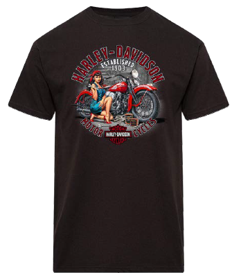 HARLEY-DAVIDSON® MENS ROSIE TEE