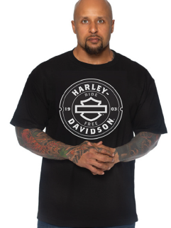 HARLEY-DAVIDSON® MENS PROFESS TEE