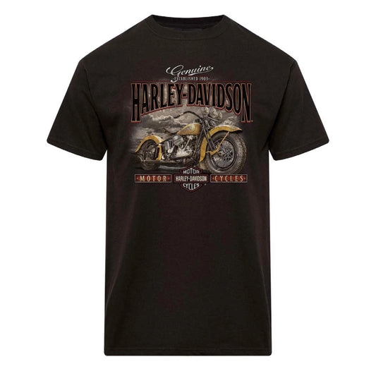 HARLEY DAVIDSON® MENS NOBLE TEE