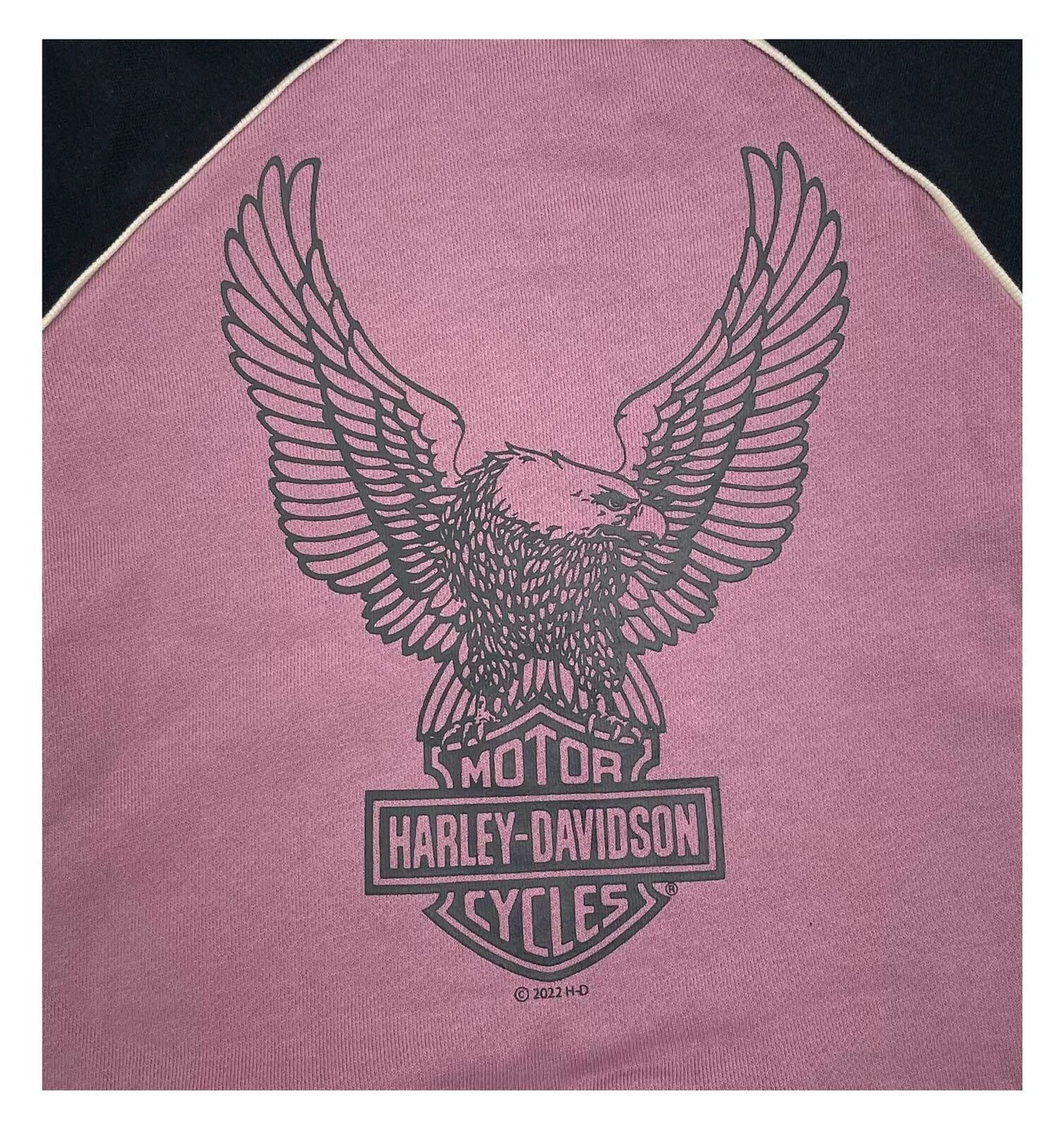 HARLEY-DAVIDSON® GIRLS TODDLER HOODIE AND JOG SET (2 PIECE)